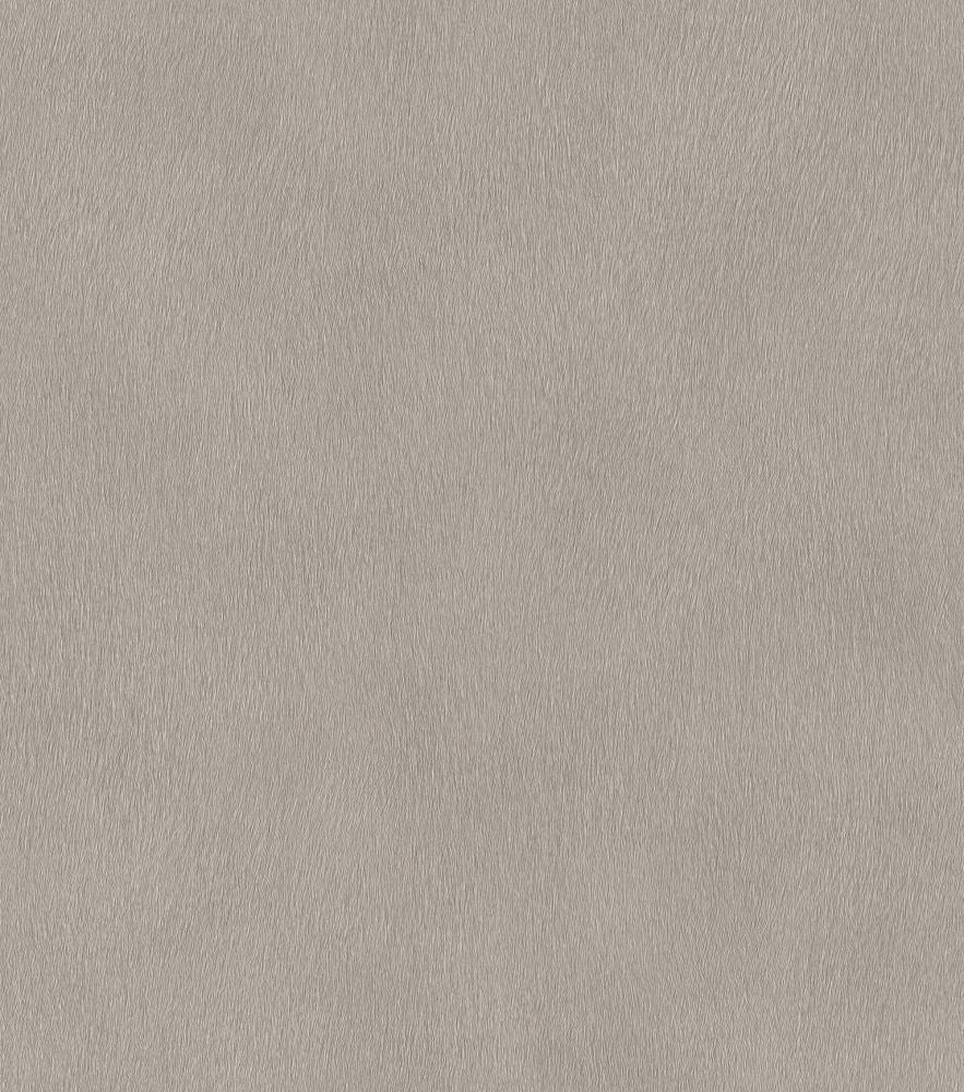 Rasch African Queen III 751062