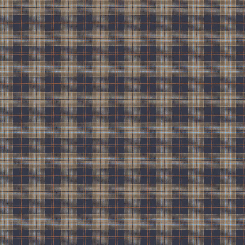 Loymina Денди KN 2022