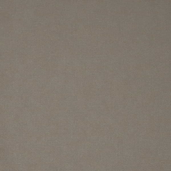 Andrea Rossi Berggi 54452-3