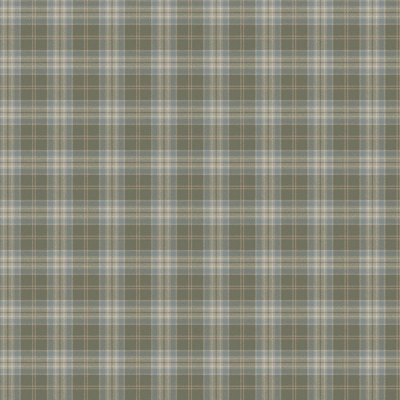 Loymina Денди KN 2005/1