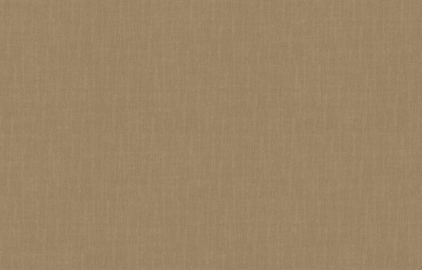 Loymina Shade SD2 012_3