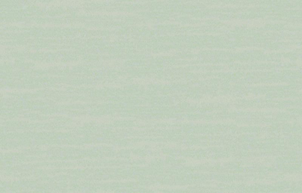 Loymina Amazonia Ins8 006