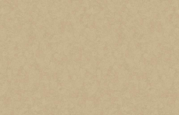 Loymina Shade SD3 002_3