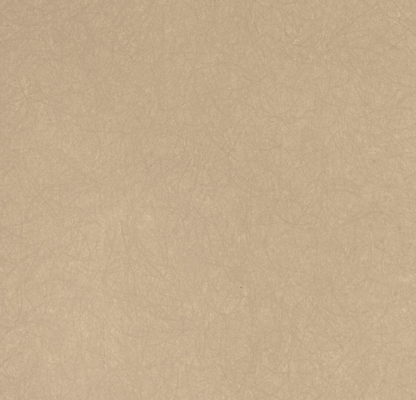 Обои Bernardo Bartalucci Legend 5068-41