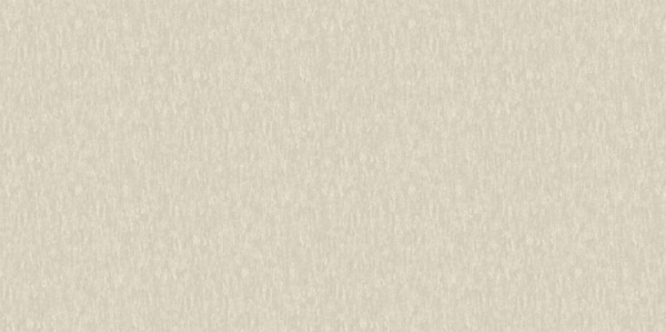 A. Grifoni Palazzo Ragione 7026-6