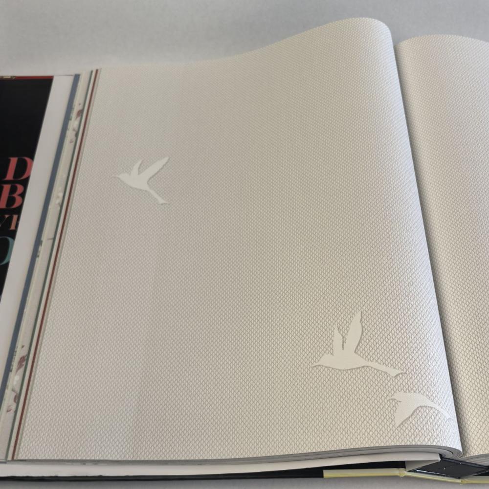 Andrea Rossi Spectrum Box 54458-2