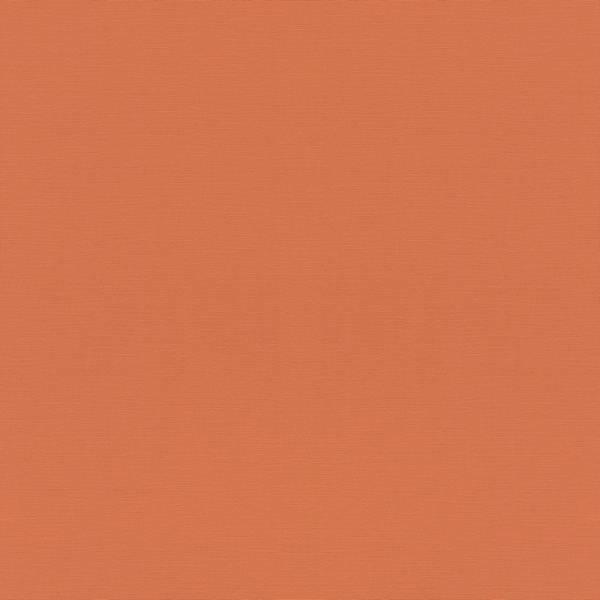 Rasch Natural Colors 687569