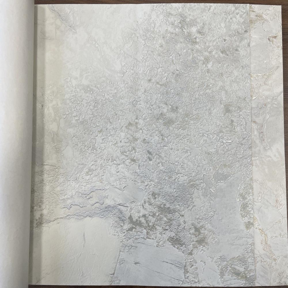 Decori-Decori Carrara Best BS 85605