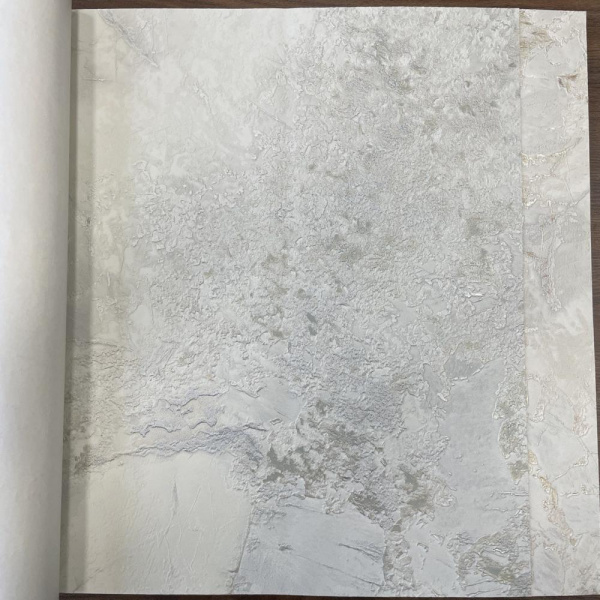 Decori-Decori Carrara Best BS 85605