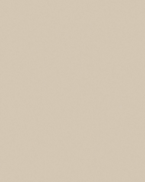 Wiganford All Time Trend Art WG 0211